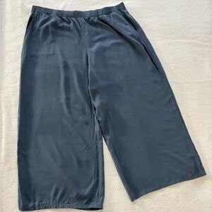 Eileen Fisher Silk Georgette Crepe Wide Leg Blue Pant Women’s 1X Size 20